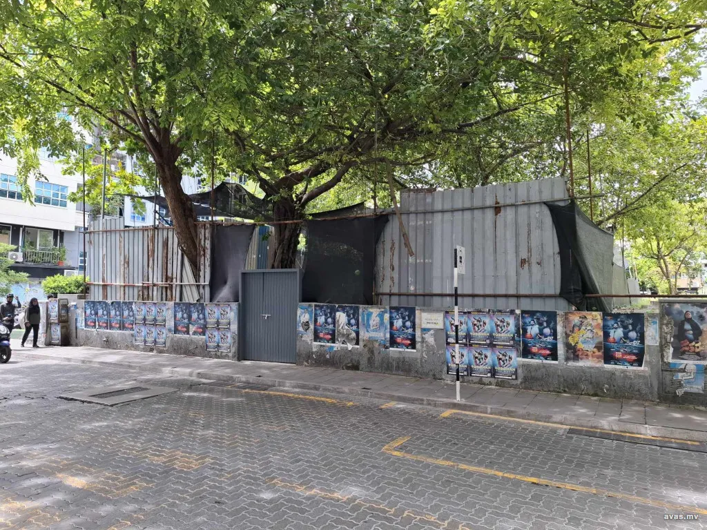 މާފަންނު ސަހަރާ-- ފޮޓޯ: އަވަސް