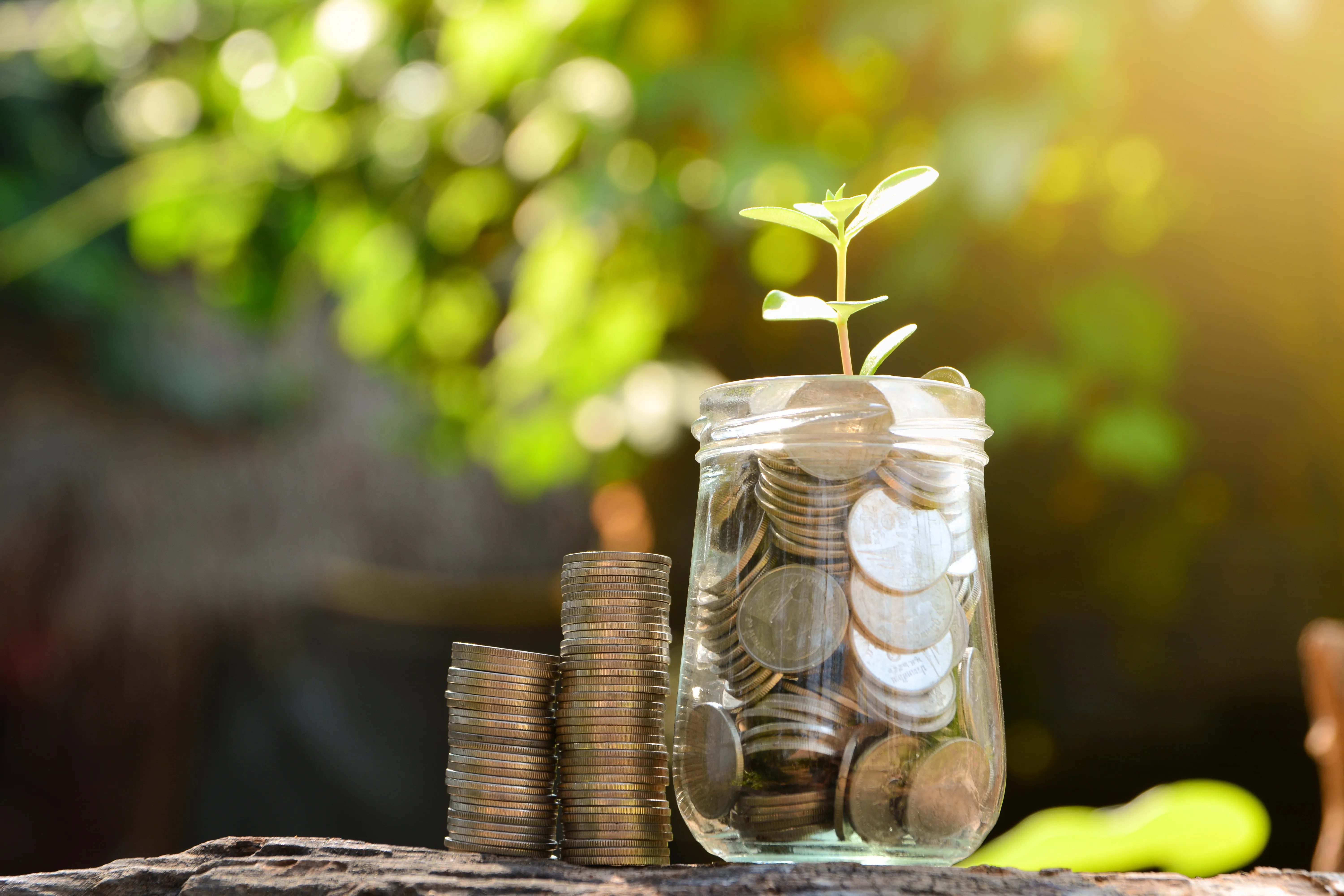 Nisab for Zakat Al-Mal Raised to MVR 11,191.95