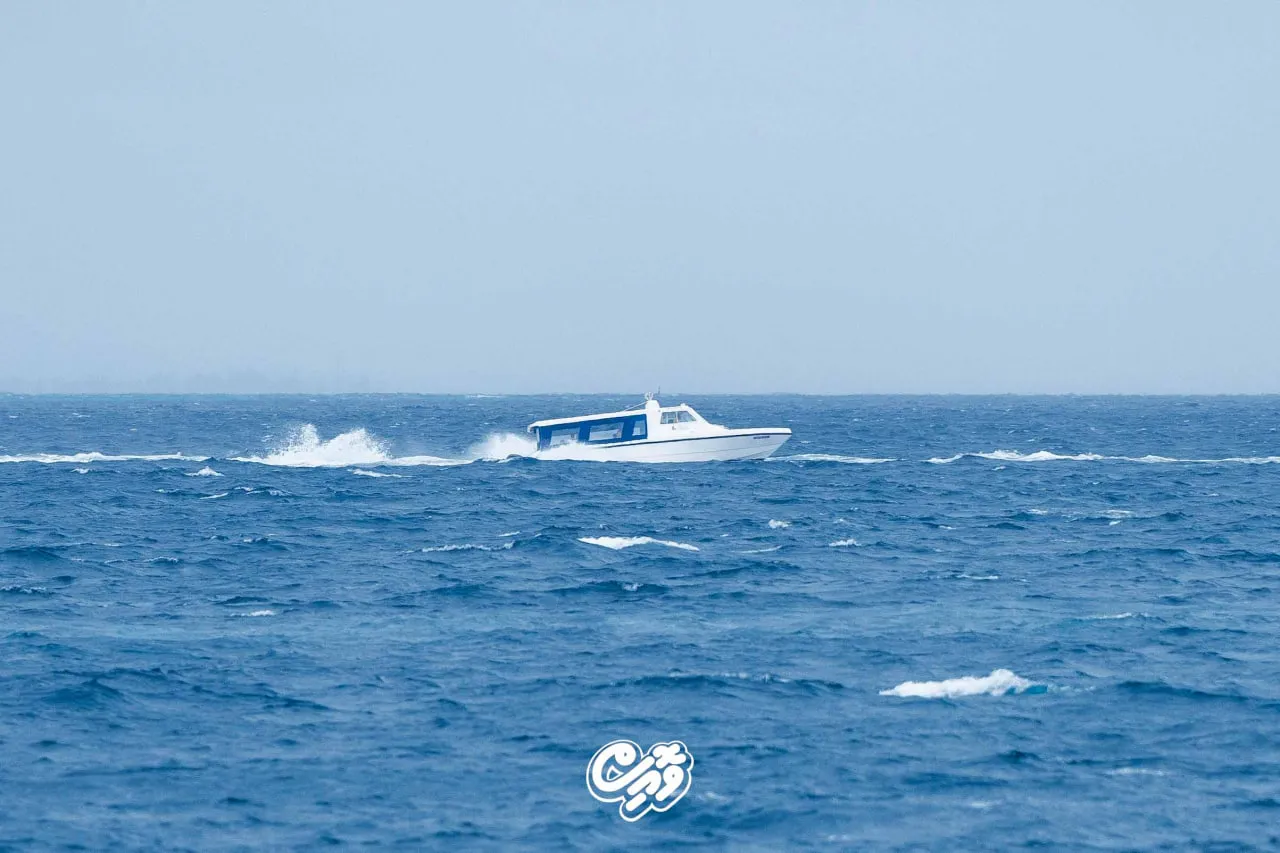 ކަނޑުގަދަ ދުވަހެއް-- ފޮޓޯ: ވޮއިސް