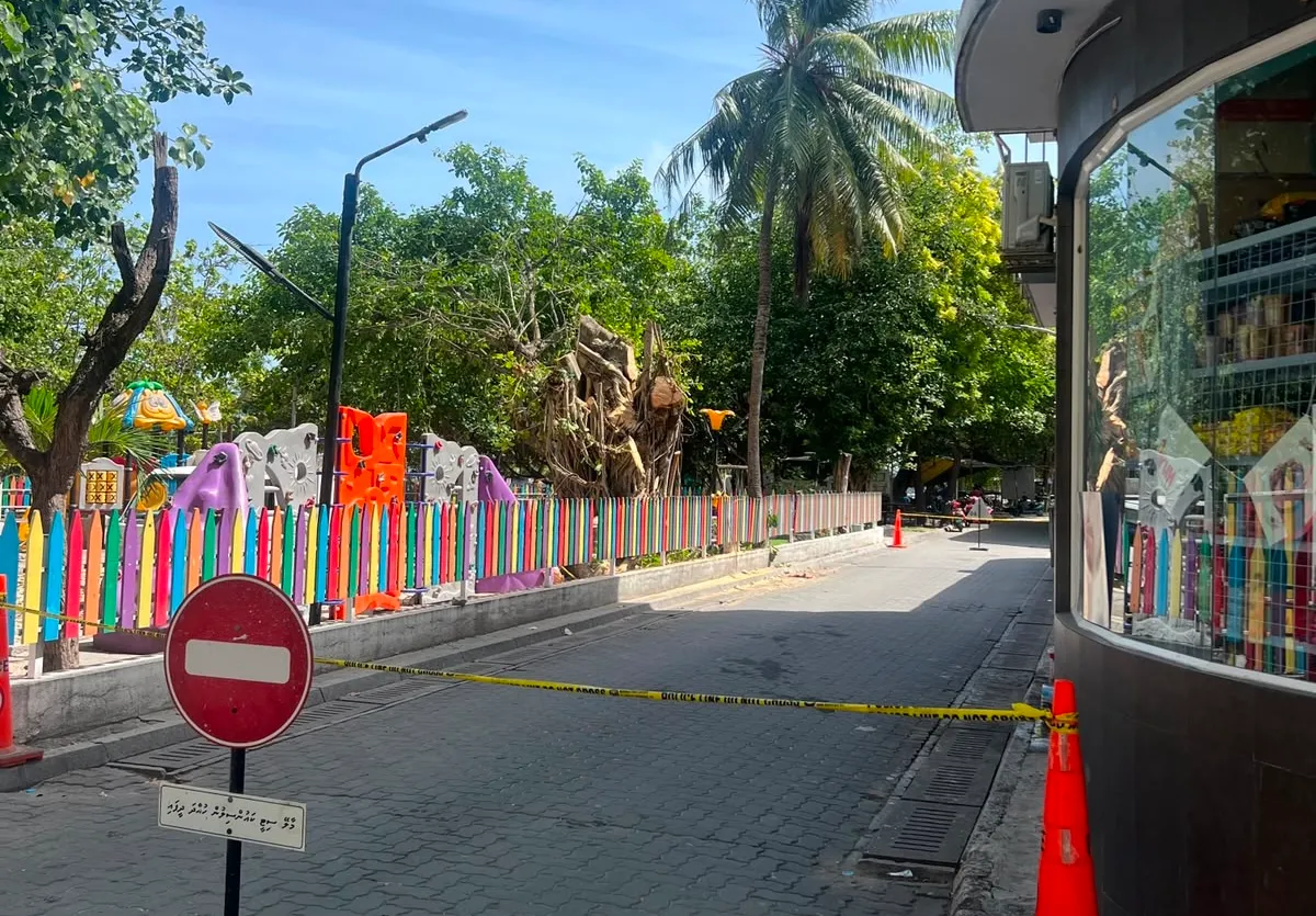 ބޮޑު ގަސް ކަނޑާފައި