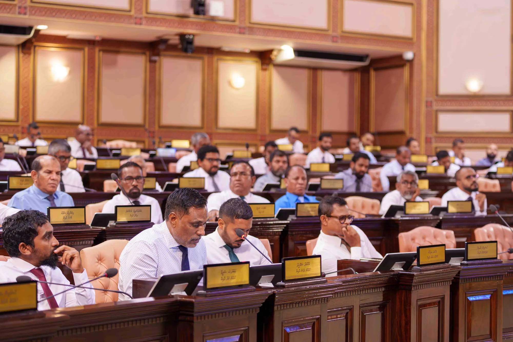 ރައްޔިތުންގެ މަޖިލީހުގެ ޖަލްސާއެއް -- ފޮޓޯ: މަޖިލީސް