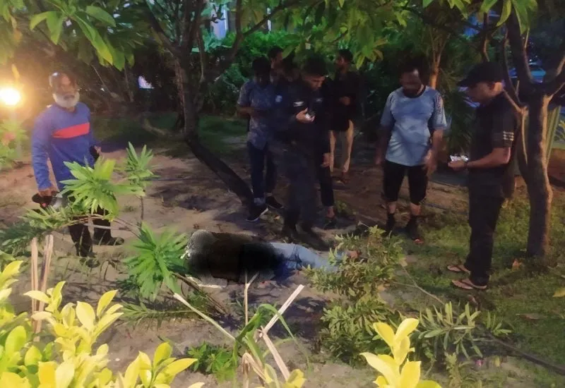 މިއަދު ދަރުބާރުގޭ ސަރަހައްދުގައި ހިނގި އެކްސިޑެންޓް: ފޮޓޯ/ އެކްސިޑެންޓް އިން މޯލްޑިވެސް