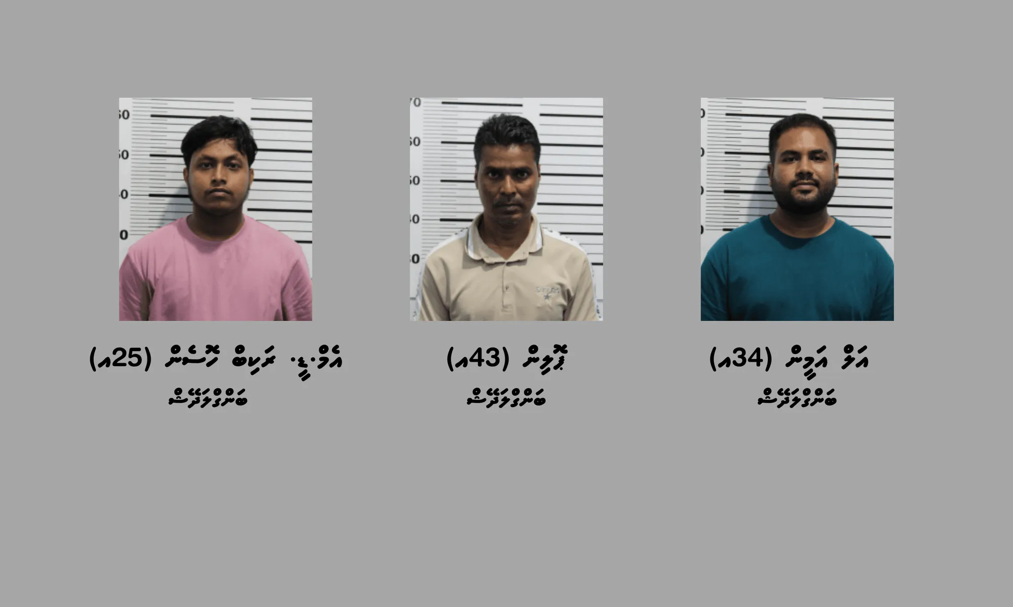 މާދޫގެއިން 800 ވުރެ ގިނަ ބަނގުރާފުޅި ފެނުނު