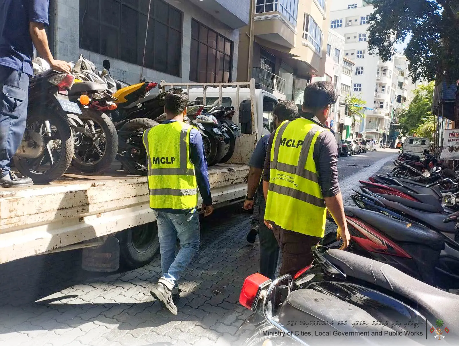 ބާވެފައިވާ އުޅަނދުތައް ނެގުން-- ފޮޓޯ: މާލެ ސިޓީ ކައުންސިލް