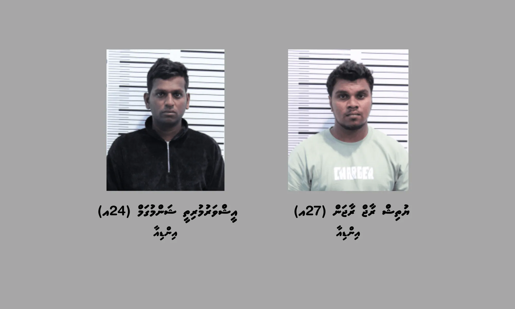 ރާއްޖެއަށް ހަ ކިލޯގެ މަސްތުވާތަކެތި އެތެރެކުރަން އުޅުނު އިންޑިޔާ ދެމީހަކު ހައްޔަރުކޮށްފި