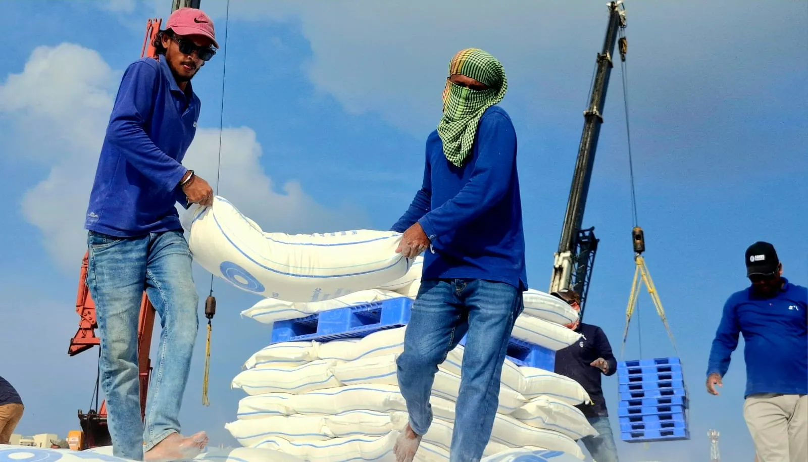 STO engaging in the process of distributing staple food items to the atolls (Photo/Voice)