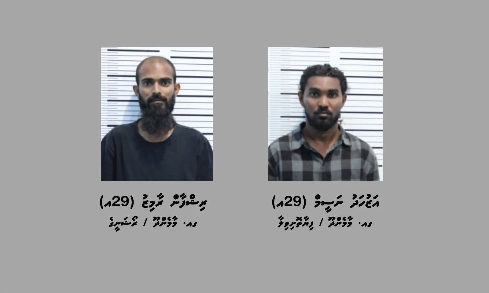 17.7 ކިލޯގެ މަސްތުވާތަކެއްޗާއެކު ގއ. މާމެންދޫން ދެމީހަކު ހައްޔަރުކޮށްފި