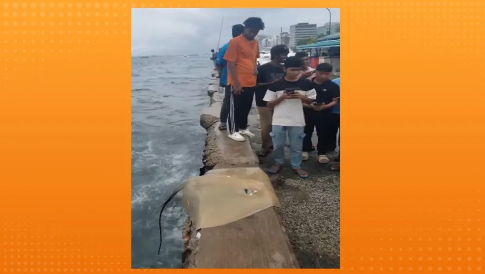 ބިދޭސީންތަކެއް މަޑި ބާނާ މަންޒަރު ފެންނަ ވީޑިއޯއާ ގުޅިގެން ކަންބޮޑުވުން ފާޅުކޮށް މެމްބަރު ކުޑޫގެ ޕޯސްޓެއް