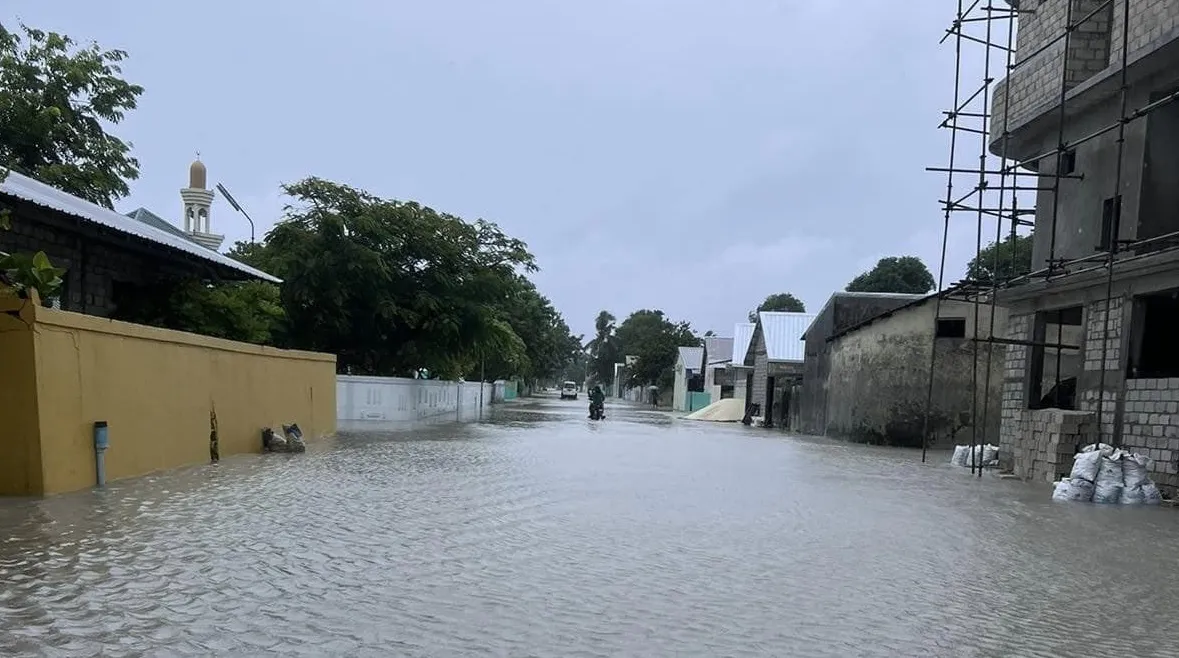 މިދިޔަ އަހަރުގެ އޮގަސްޓްމަހު ހއ.ކެލައަށްކުރި ވިއްސާރައިގެ ތެރެއިން..