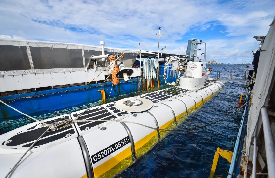 Whale Submarine