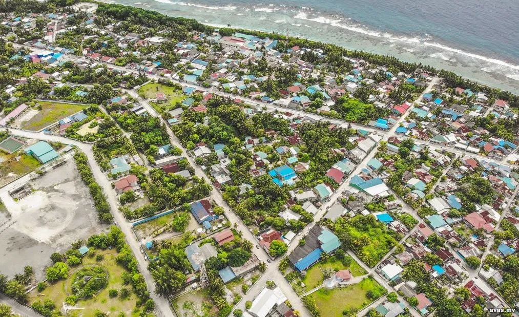 ގަހެއްގެ ގޮފިގަނޑަކުން ބޮލުގައި ޖެހިގެން މީހަކު ނިޔާވެއްޖެ