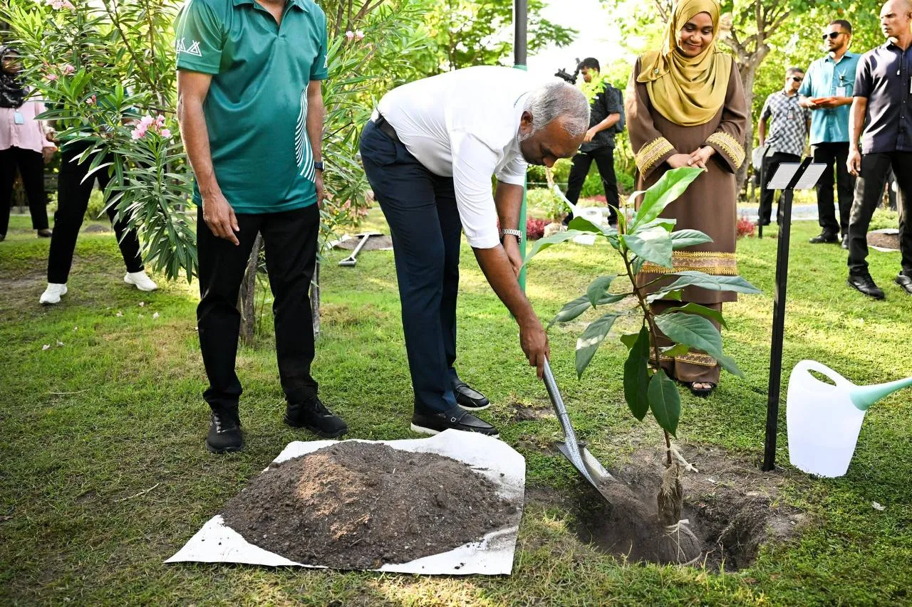 ފަސް މިލިއަން ގަސްއިންދުމުގެ ޕްރޮގްރާމް، ރައީސުލްޖުމްހޫރިއްޔާ ޑޮކްޓަރ މުޙައްމަދު މުޢިއްޒު އަދި އެމަނިކުފާނުގެ އަނބިކަނބަލުން ސާޖިދާ މުޙައްމަދު، އިފުތިތާހުކޮށްދެއްވުން: ފޮޓޯ/ ރައީސް އޮފީސް