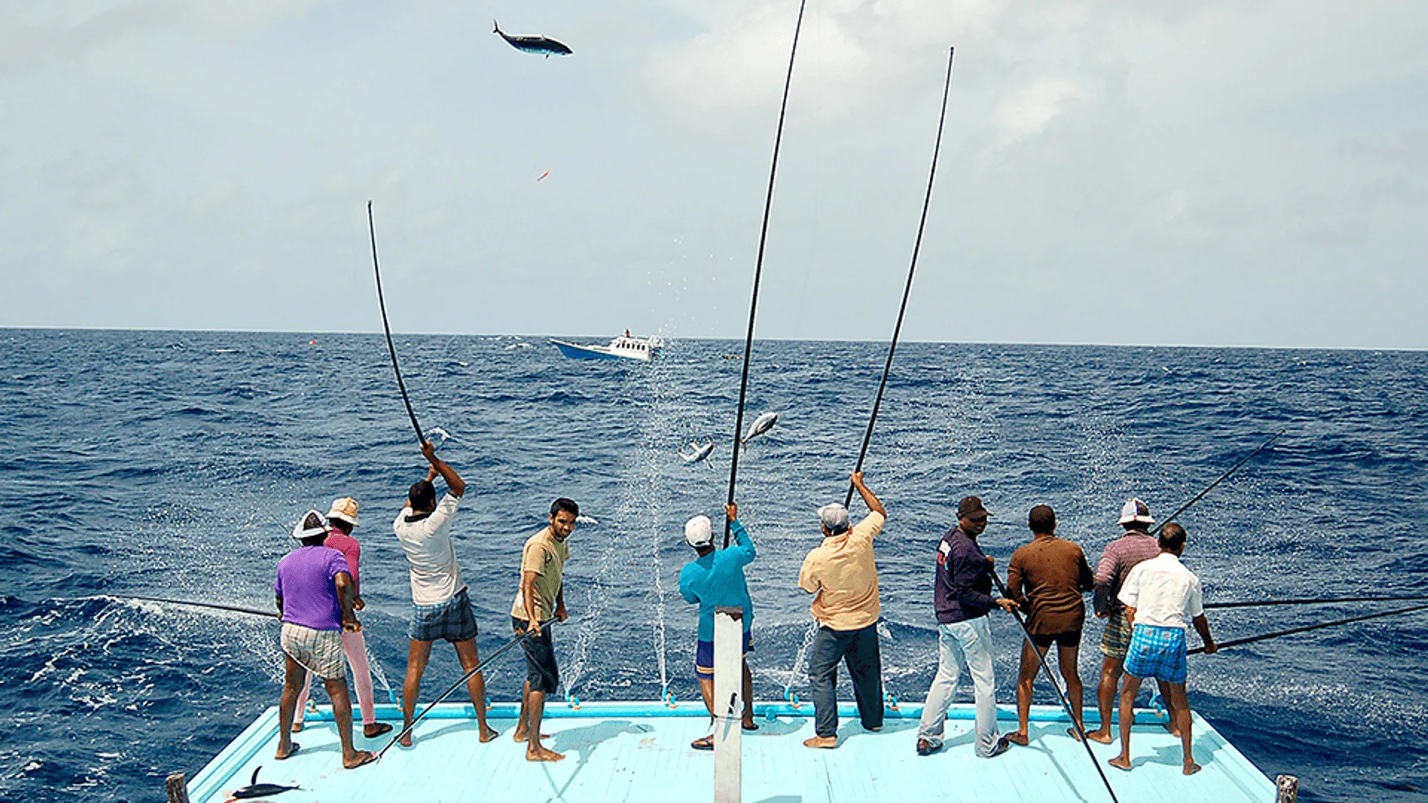 A Billion-Rufiyaa Question: What Is the State Buying When It Buys Fish?