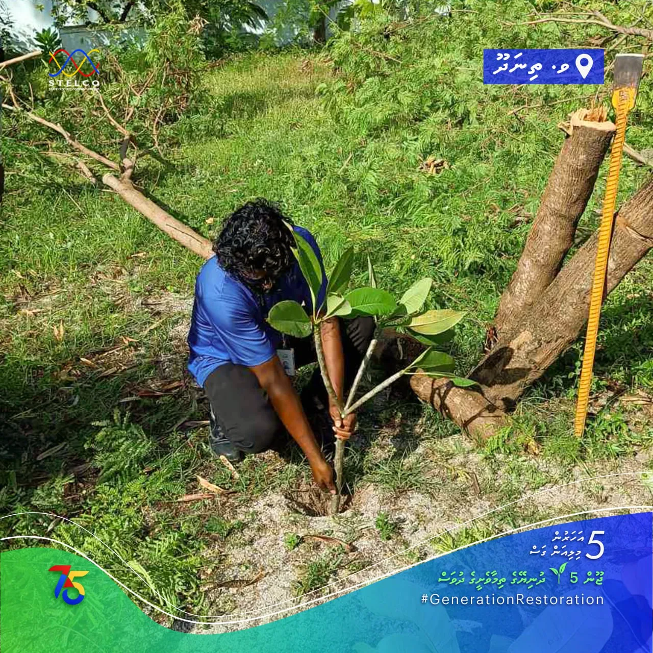 5 އަހަރުން 5 ލައްކަ ގަސް އިންދުމުގެ ޕްރޮޖެކްޓުގެ ތެރެއިން ގަސް އިންދަނީ:ފޮޓޯ/ސްޓެލްކޯ