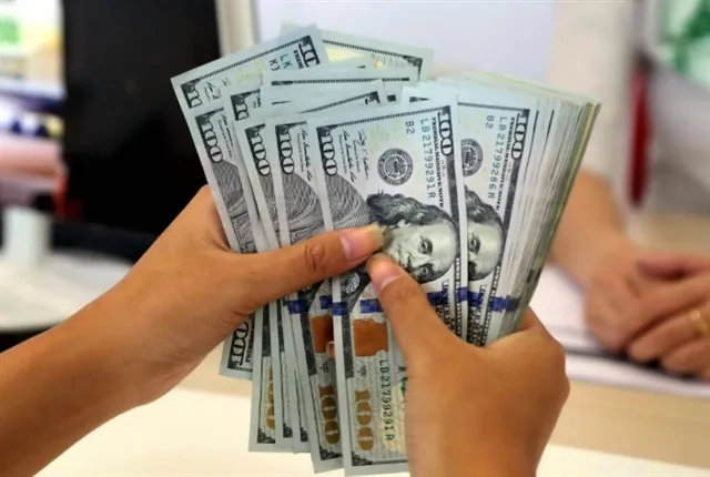 BML dollar sales rise 33 percent as transfer services set to normalise