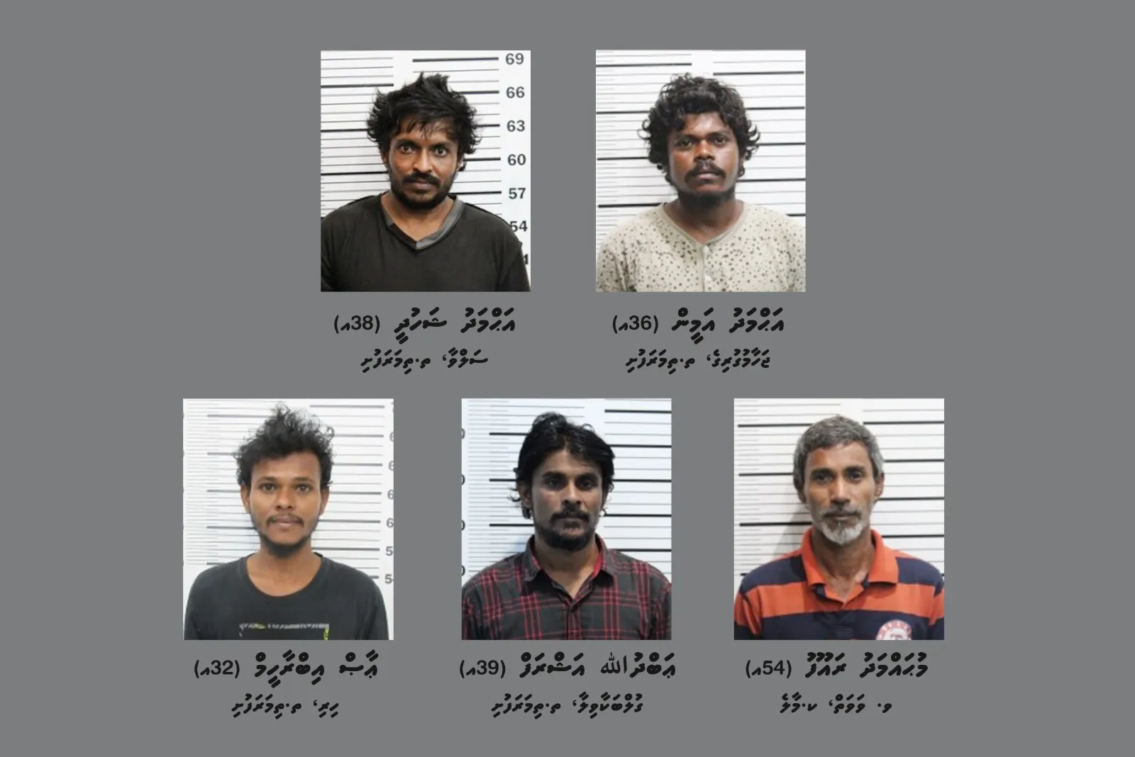 ތިމަރަފުށީގައި މާރާމާރީ ހިންގި މީހުންގެ ވަނަވަރު ހާމަކޮށްފި