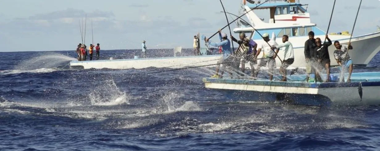 ދޯނިތަކުގައި އާރްއެސްޑަބްލިއު އެޅުމަށް ޚާއްސަ ލޯން ސްކީމެއް ތަޢާރަފްކުރަނީ