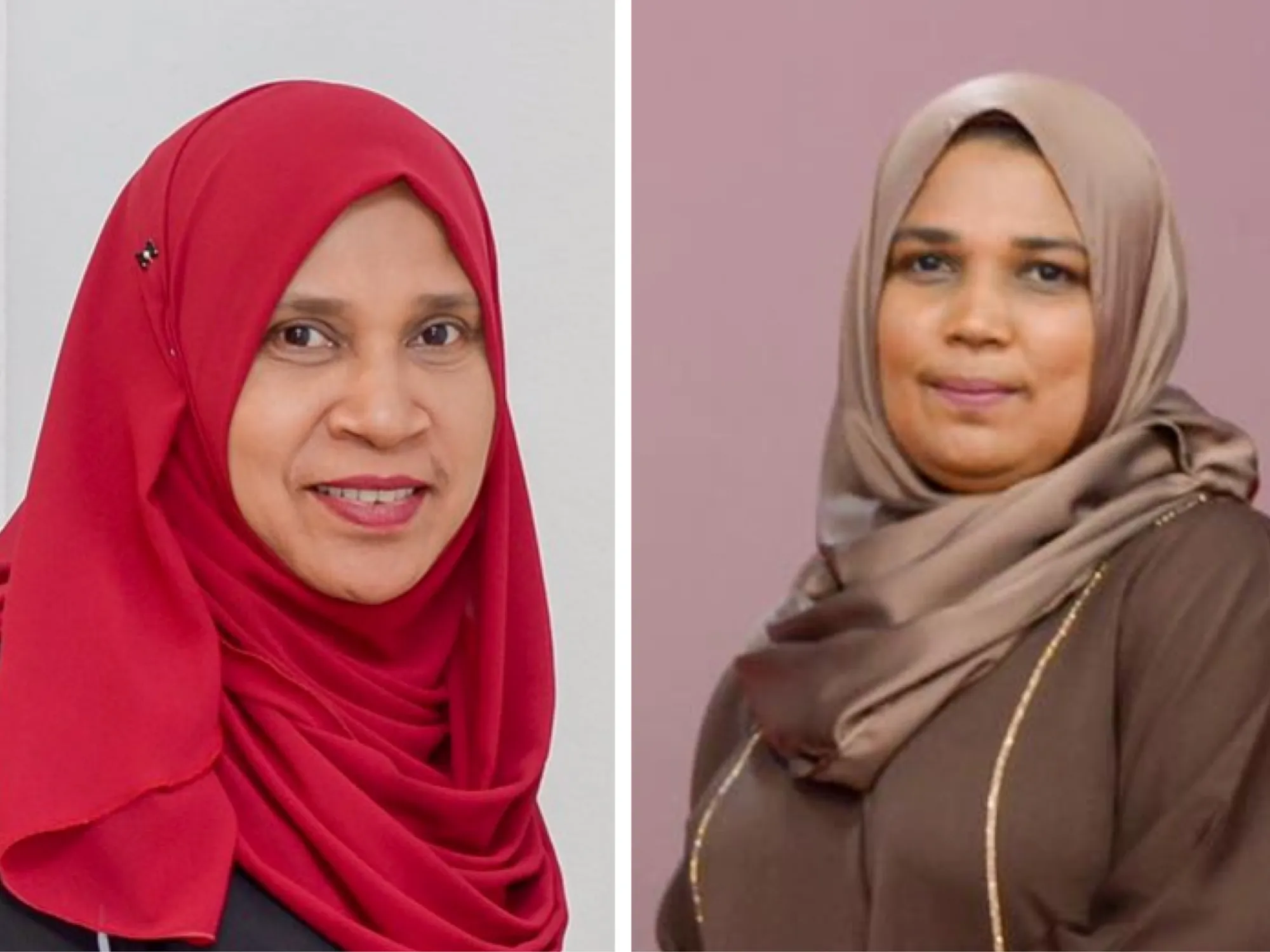 އޭދަފުށީ ކައުންސިލްގެ ދެ ގޮނޑި ވެސް ޕީއެންސީއަށް ލިބިއްޖެ