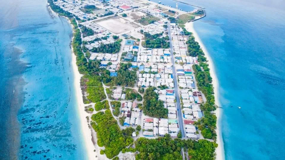 ފީނަންގޮސް އުޅުނު ޒުވާނަކު ނިޔާވެއްޖެ