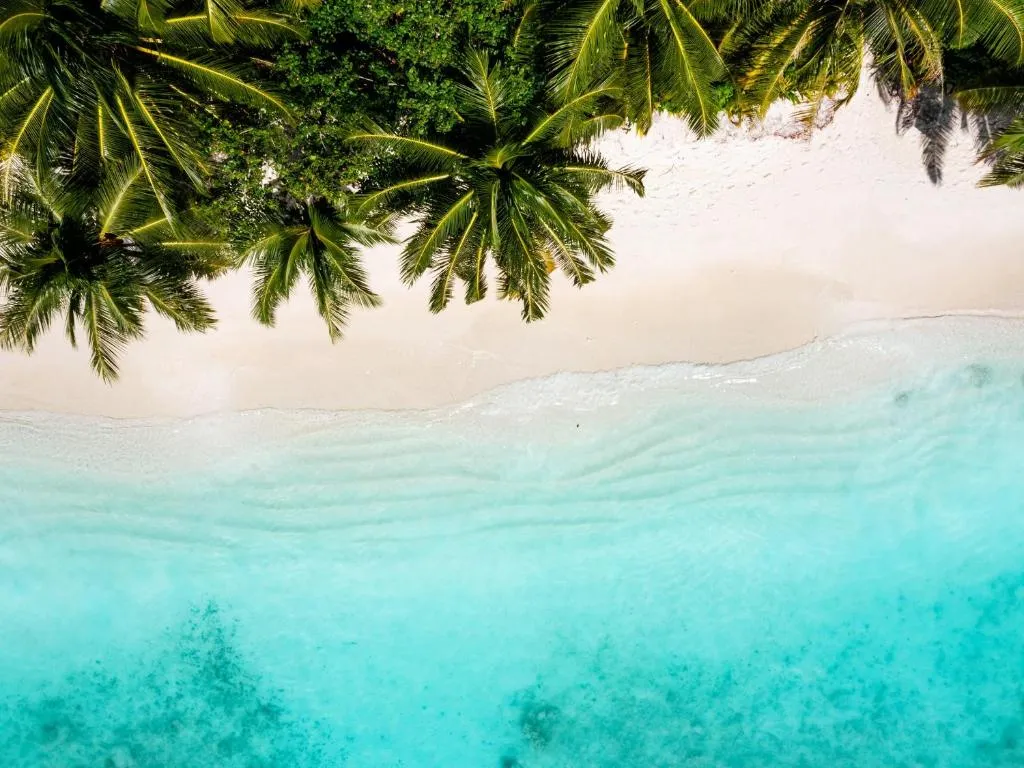 އެމްޓީޑީސީގެ އަޔާޑާ/ ފޮޓޯ: އަޔާޑާ