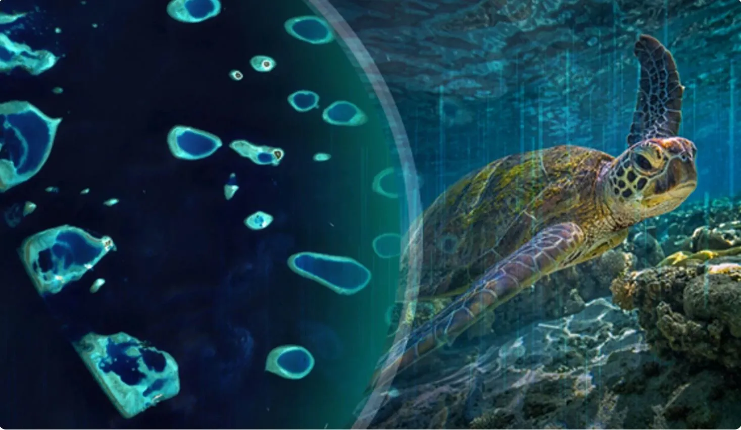 އެމްއެންއެސްޑީއޭގެ ފިޝަރީޒް އަދި އޯޝަން ސައިންސެސް ޕްރޮގްރާމްތައް އެމްއެންޔޫގައި