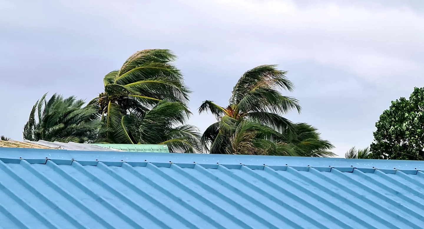 ވައިގަދަ ދުވަހެއް...