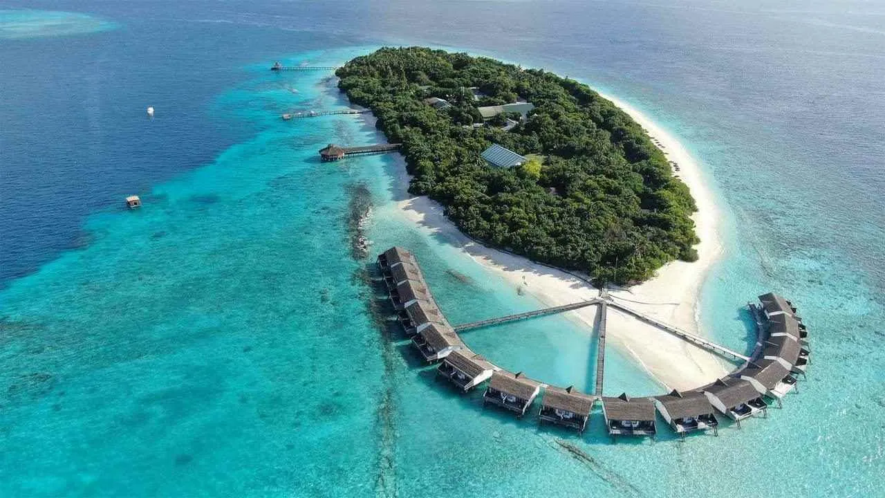 Reethi Beach Resort to Host ‘Coral Kingdom Under the Sea’ Festive Celebration for 2024