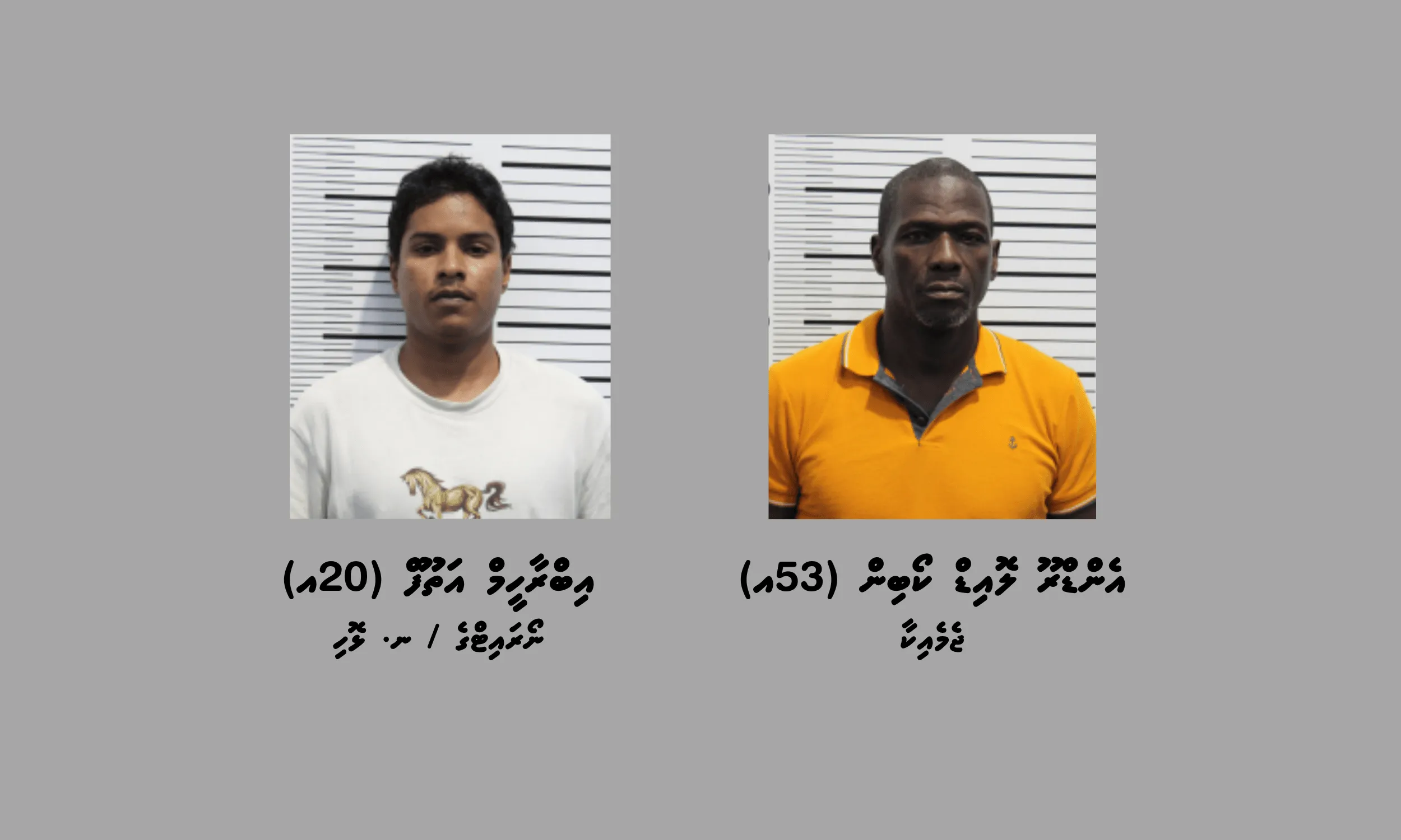 ވައިގެމަގުން ރާއްޖެއަށް، ކިލޯއަކަށްވުރެ ގިނަ މަސްތުވާތަކެތި އެތެރެކުރިކަމުގެ ތުހުމަތުގައި ތިން މީހަކު ހައްޔަރުކޮށްފި