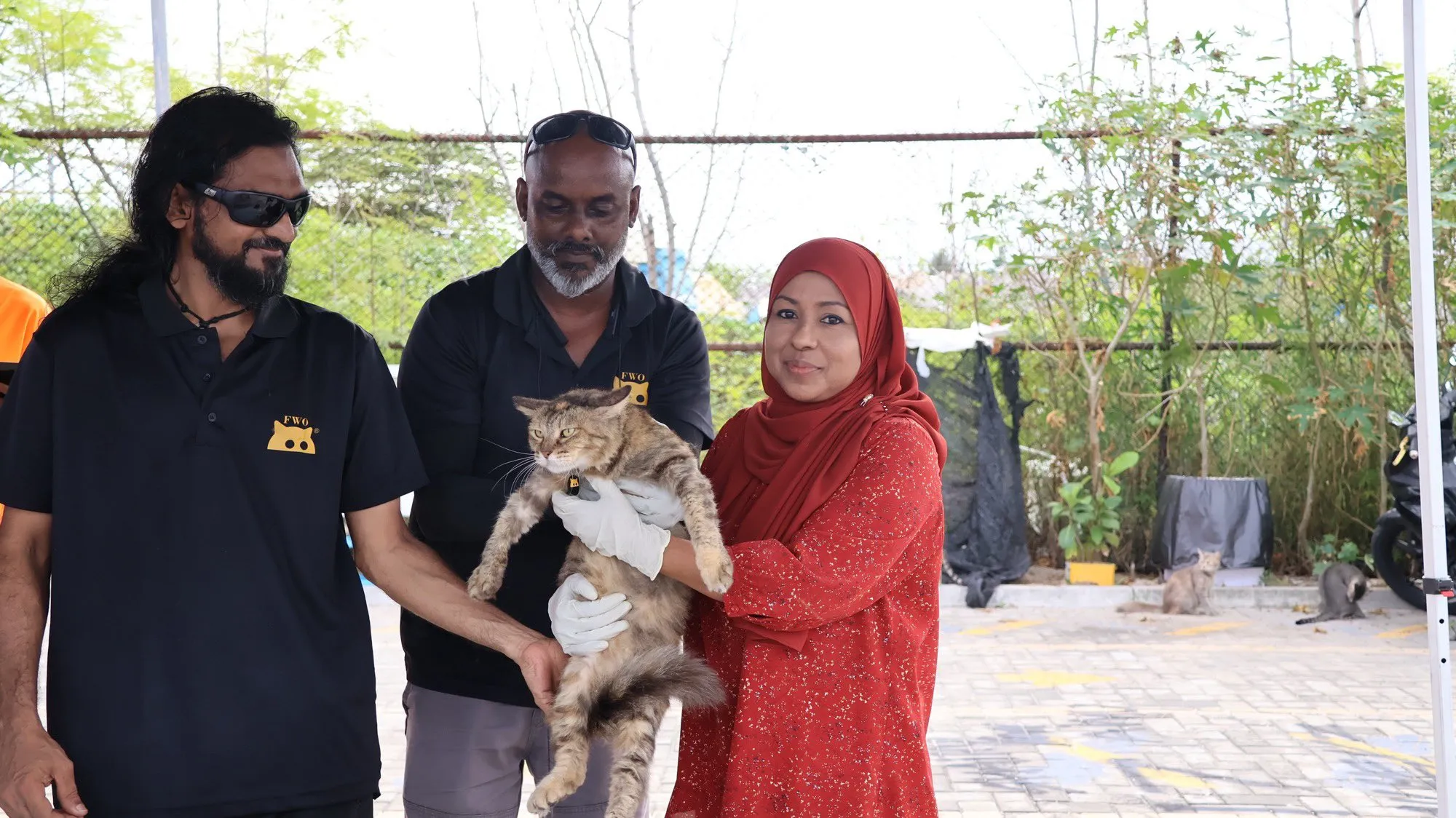 ބުޅާތައް ރަޖިސްޓްރީ ކުރަން ފެށުން-- ފޮޓޯ: މިނިސްޓްރީ