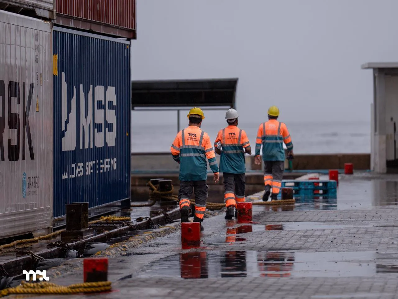 ޑެމަރޭޖް ނާރާ ވަގުތު އިތުރުކޮށްދެނީ