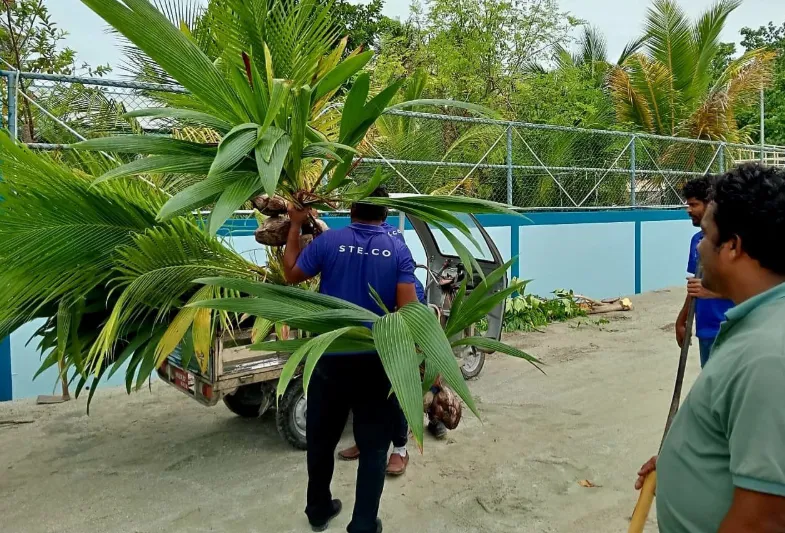 Stelco Pledges to Plant 500,000 Trees in Support of President Muizzu’s Green Initiative