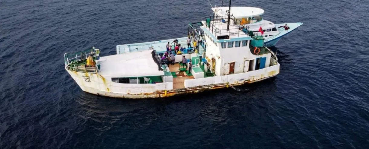 މާލެ ސަރަހައްދާއި މެދުރާއްޖެތެރެއިން މަސް ގަތުމަށް މިފްކޯގެ ބޯޓުތައް ހަރަކާތްތެރިވަނީ