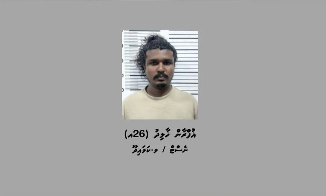 މަސްތުވާތަކެއްޗާއެކު ދިވެއްސަކު ހައްޔަރުކޮށްފި