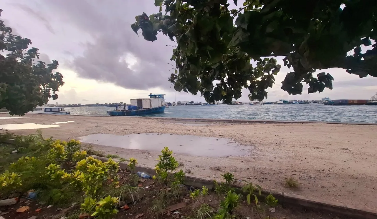 މުދާޖެޓީ ސަރަހައްދު