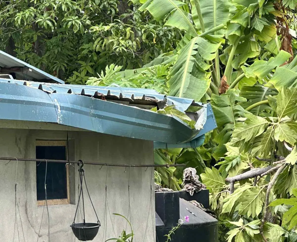 ވިއްސާރައިގައި ފޭދޫގެ ދެ ގެއަކަށާއި ދެ ރަށަކަށް އުދައިގެ ގެއްލުން ލިބިއްޖެ