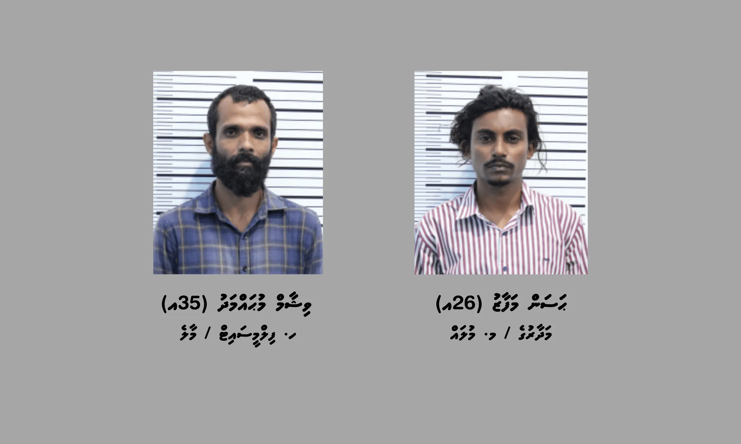 އަތުލައިގަތް 36 ކިލޯގެ މަސްތުވާތަކެއްޗާއި ގުޅުންހުރި ދެމީހަކު ހައްޔަރުކޮށްފި