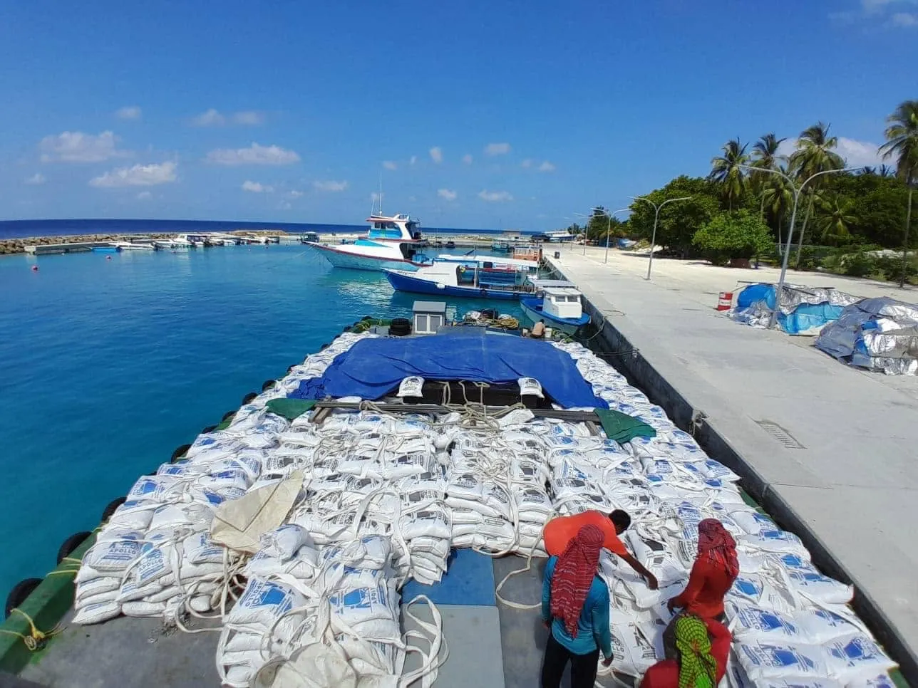 ހަންޏާ މީދުގައި ހިނގި ހާދިސާއެއްގައި ނިޔާވީ ޚާއްޞަ އެހީއަށް ބޭނުންވާ ކުޑަކުއްޖެއް