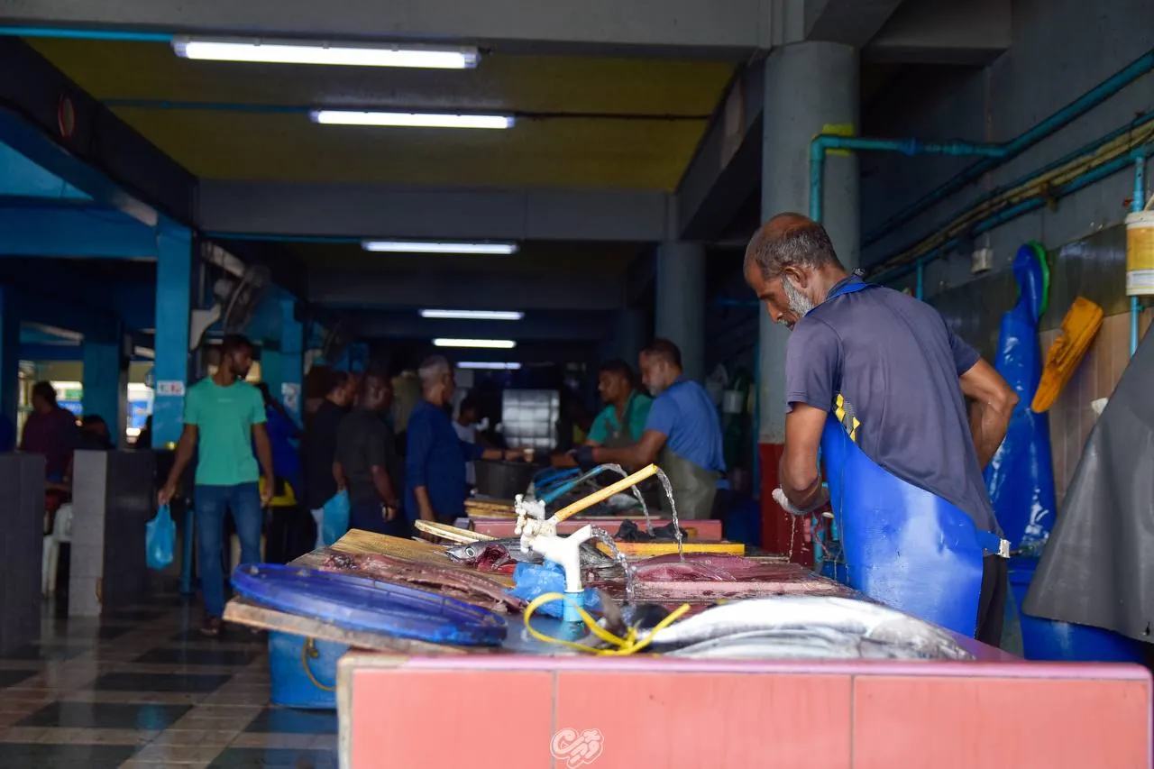 މަސް އެކްސްޕޯޓް މިއަހަރު ބޮޑުތަނުން ދަށަށް ގޮސްފި