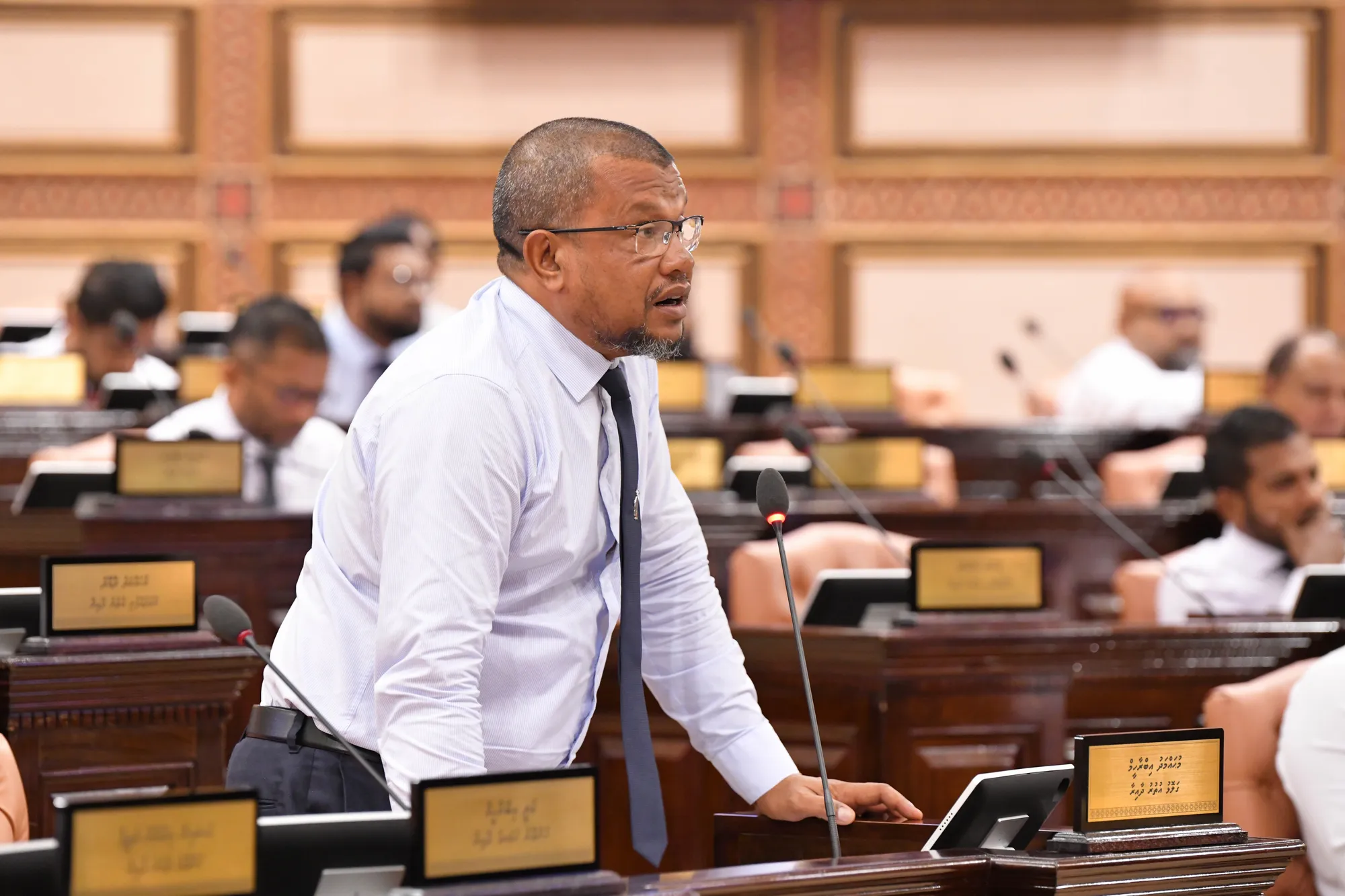 ވަޒީރު އަލީ އިހްސާނަށް ވޯޓު ދިނީ ތާއިދުކުރާތީއެއް ނޫން؛ އެއީ ހެދުނު ގޯހެއް: މުހައްމަދު އިބްރާހިމް