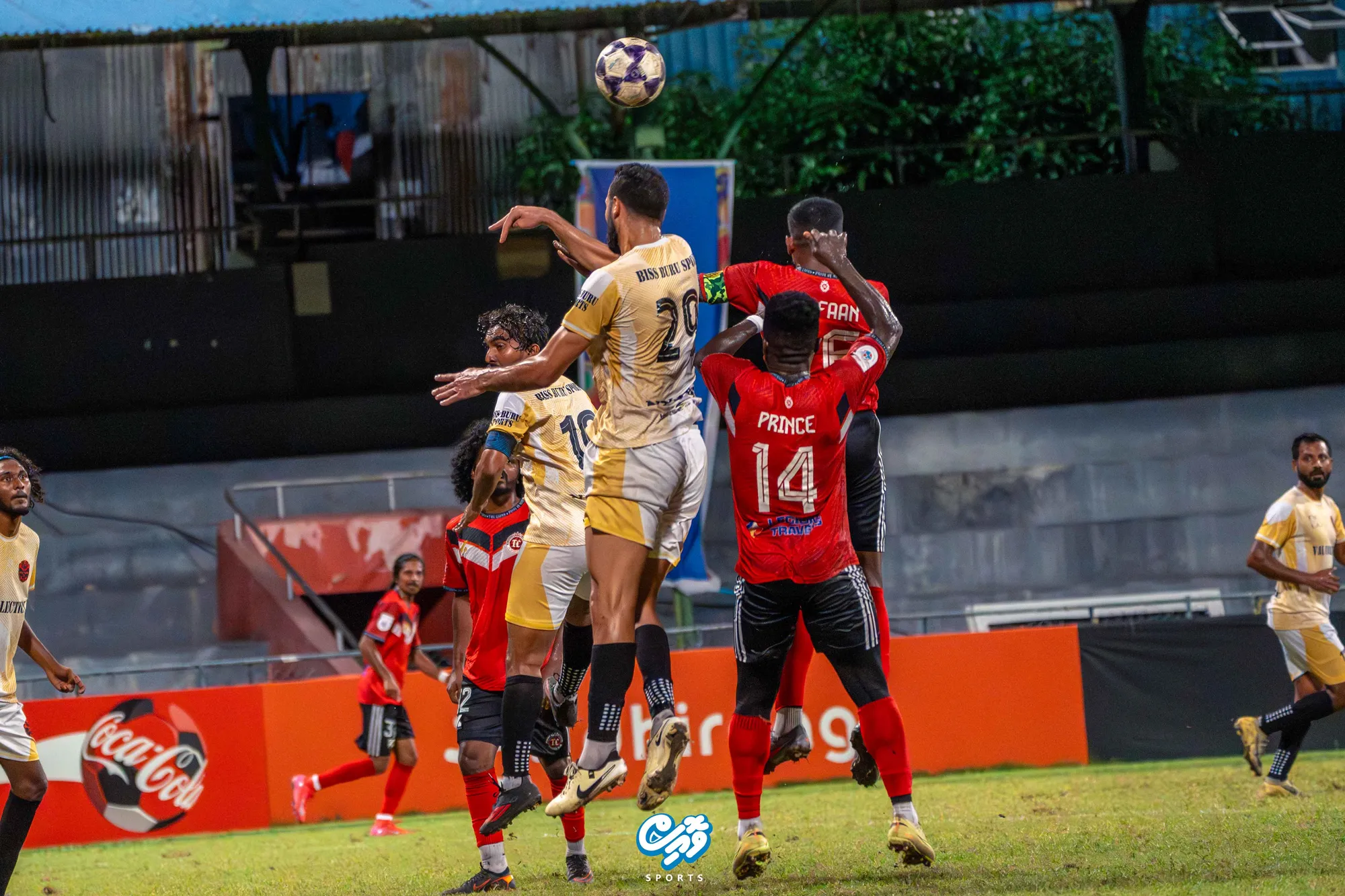 ބިސްބުރުން ޓީސީ ހިފަހައްޓައިފި