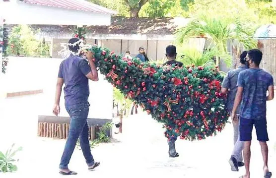ރާއްޖޭގެ ރަށެއްގައި ކްރިސްމަސް ފާހަގަކުރަން ޖެހި ގަހެއް