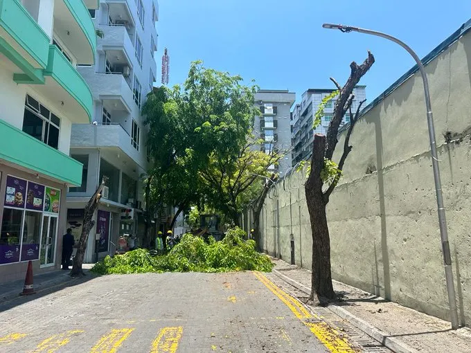 އަމީނީ މަގުން ގަސް ނަގަނީ، ނުނަގާ ނުވެގެންކަން މޭޔަރަށް އެނގިލައްވާނެ: މޫކޭ