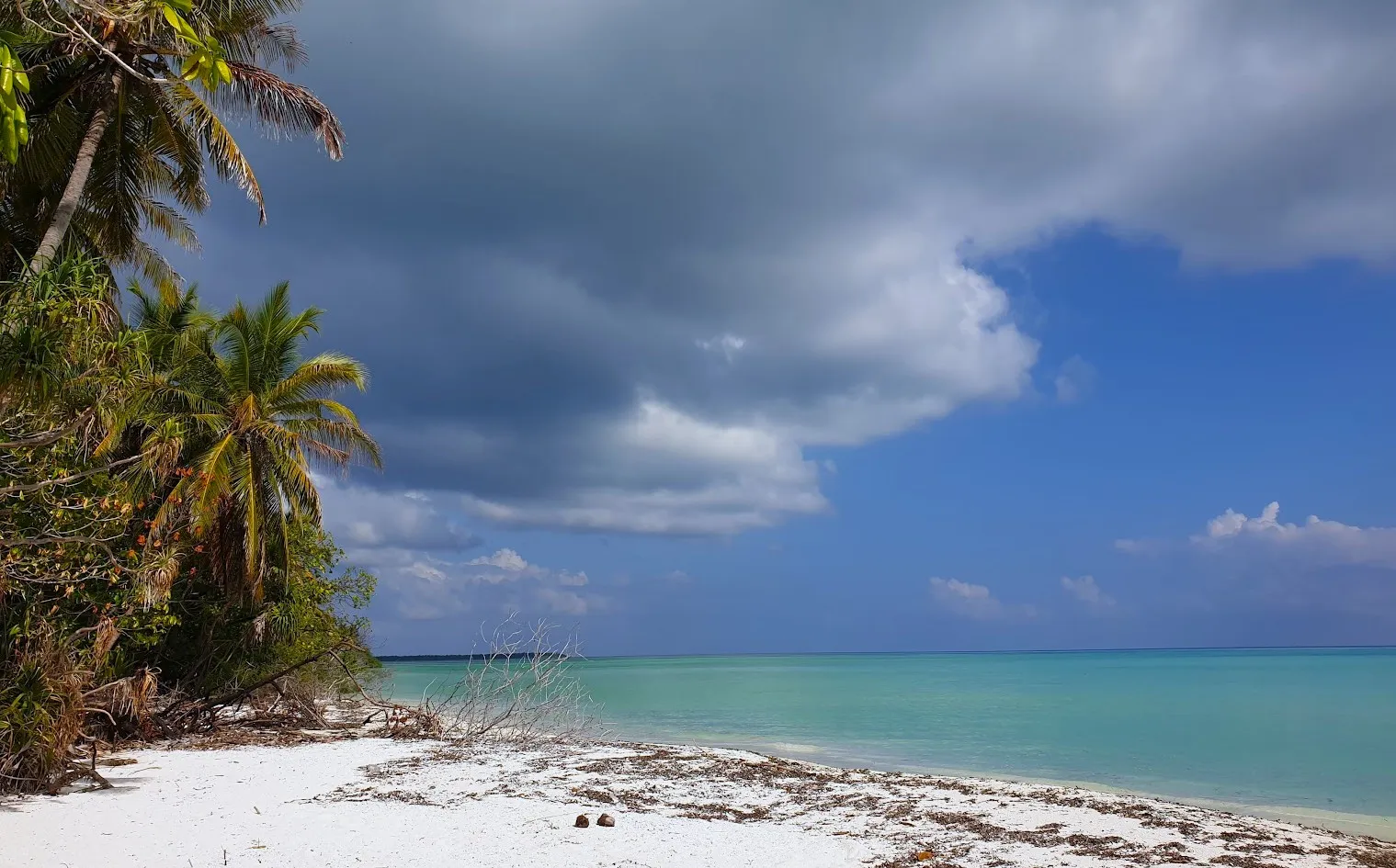 އއ.ތޮއްޑޫ.. ފޮޓޯ: ވޮއިސް