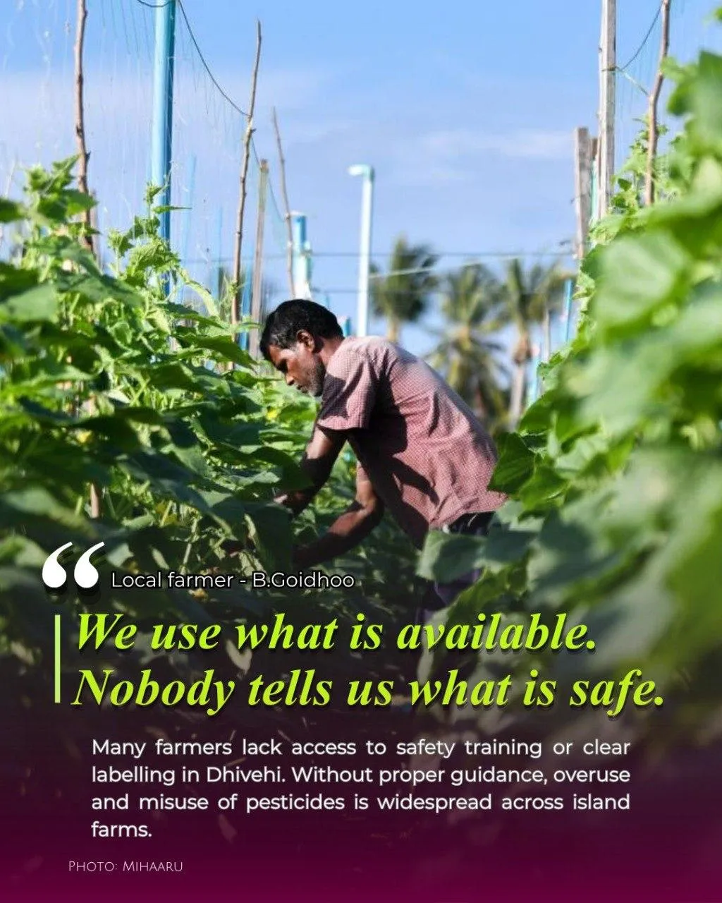Pesticides in Maldives: what are we eating