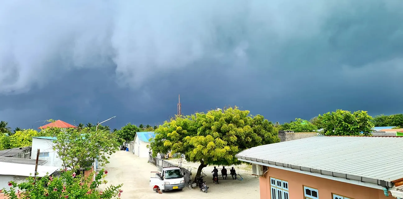 މޫސުން ގޯސްކޮށްލާފައި.... ފޮޓޯ: ވޮއިސް