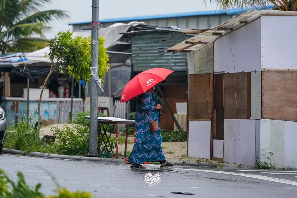 މޫސުން ގޯސް ދުވަހެއް-- ފޮޓޯ: ވޮއިސް