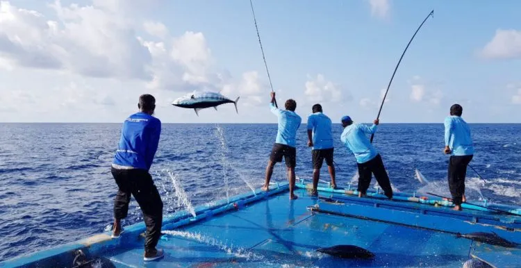 މިއަހަރުގެ މަސްވެރިންގެ ދުވަސް ފާހަގަ ކުރަނީ މާލޭގައި