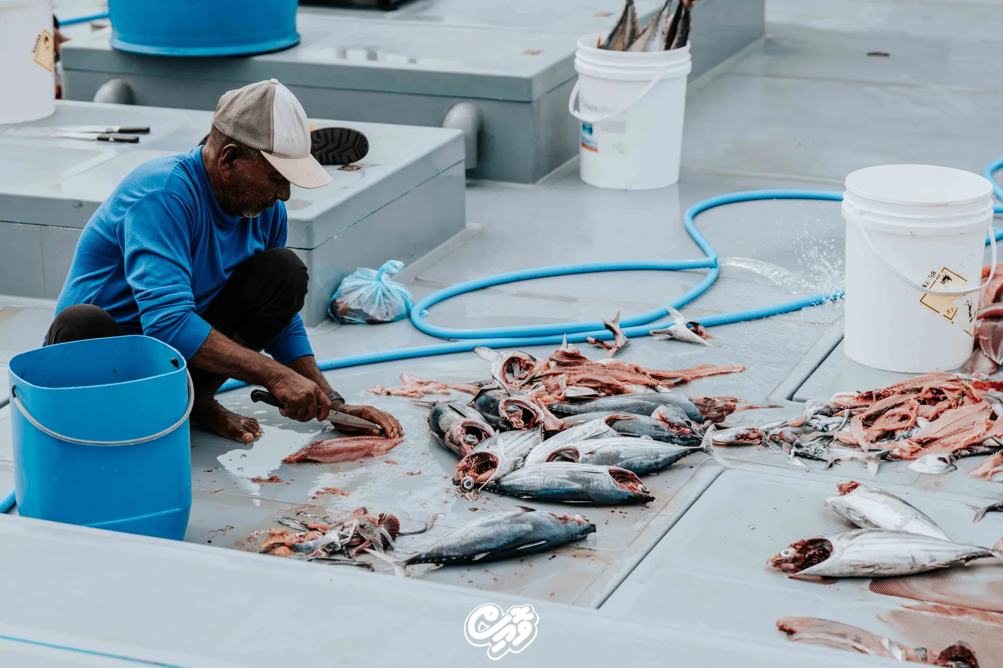 UK tariff suspension could double Maldivian fish export