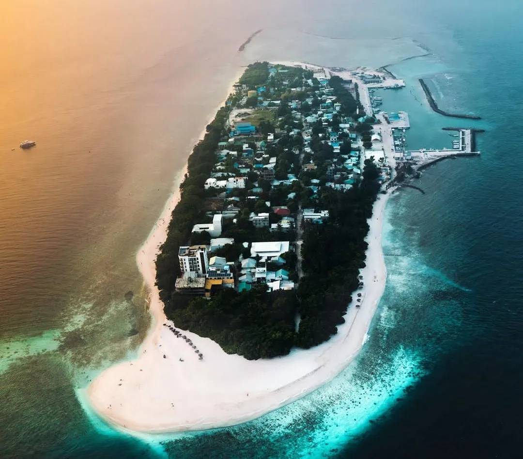 އުކުޅަހުގައި ކާރެއް ފަހަތައް ޖައްސަނިކޮށް ފަހަތުގައި ހުރި ކުއްްޖަކު ކާރު ދަށުވެއްޖެ!