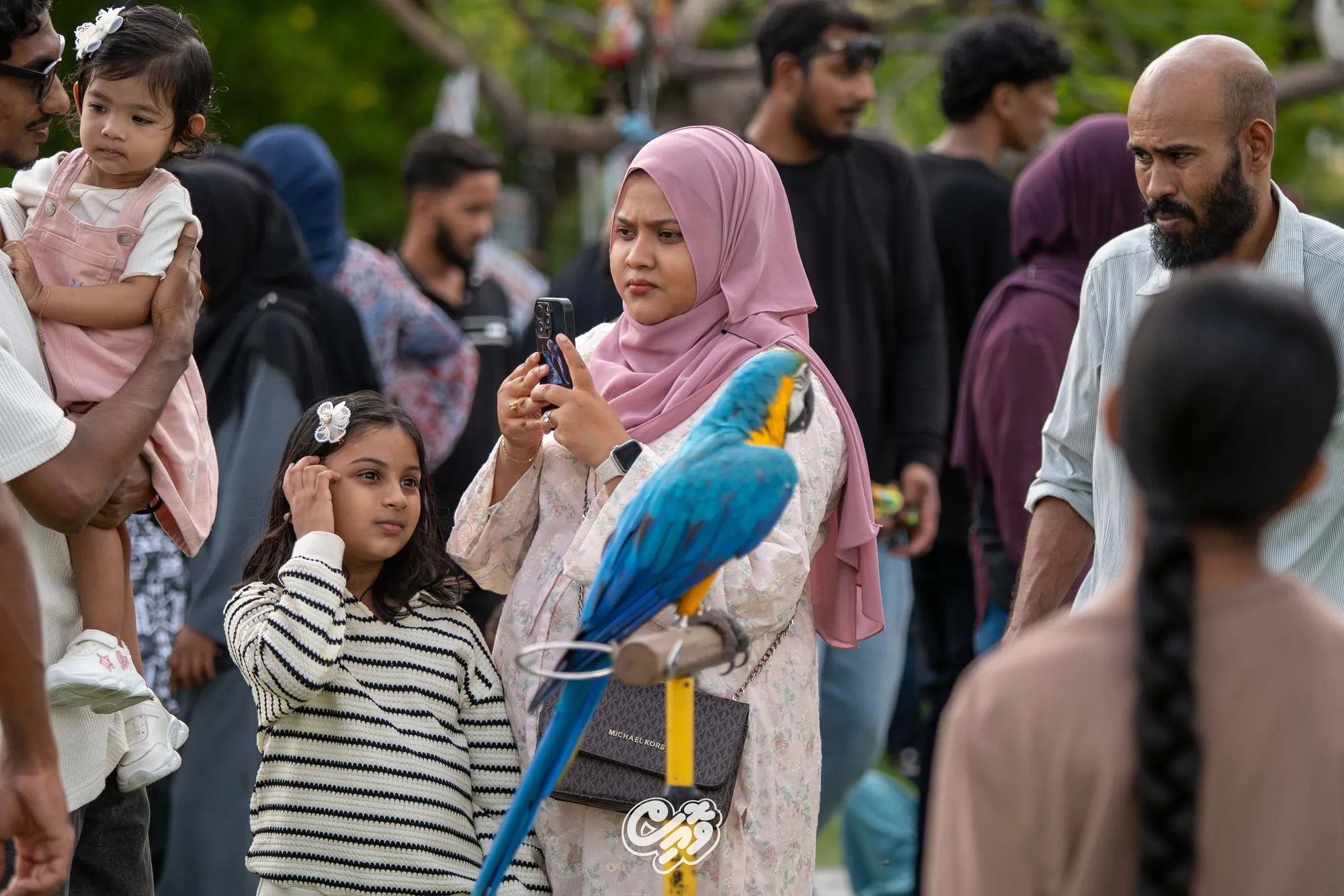 ދުނިޔޭގެ ޖަނަވާރުންގެ ދުވަސް ފާހަގަކުރުމަށް ހުޅުމާލޭގައި ބޭއްވި ހަރަކާތް